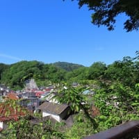 2024-05-03（金）　ＪＲ高尾駅から京王線高尾山口まで里山を歩く