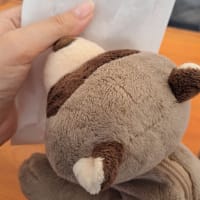 9月23日（土）昼からビール飲んでもいいじゃん