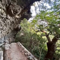 伊豆半島ジオスポット