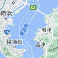 オレのスッテを抱いてくれ
