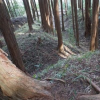 【古宮城】武田信玄が三河進出の拠点として馬場美濃守に築城させた城　2025年3月30日