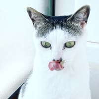 あれから10年間で
