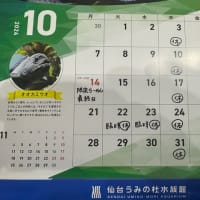 2024年10月のお知らせ