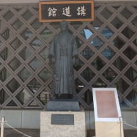 柔道観戦