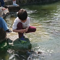 気付けば4月、新学期です♪