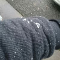大寒波ですね。