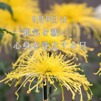 9月9日は邪気を祓い、心身を浄化する日