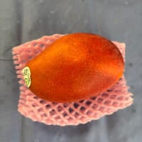 フルーツが美味しい季節ですね