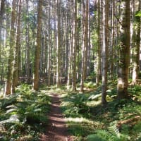 札幌岳「豊滝－豊平峡温泉」