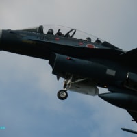 ウクライナ情勢-ロシア軍二〇二五年夏季攻勢，ポクロフスク正面攻撃失敗とスムイ州再侵攻の頓挫