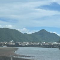 コン爺　沼津海鮮市場🐟❣️