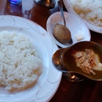 冬探し