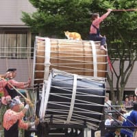 青森ねぶた祭最終日　昼間＆海上ねぶた　跳ね猫