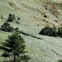 破風岳山頂を目指す。。。
