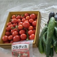 ありがたい　お野菜の贈り物