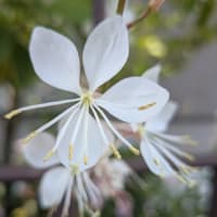 ぼーっと過ごす日々