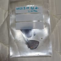 おっさんは新しい称号を得た！