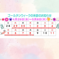 ～休診のお知らせ～