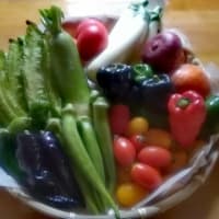 ～農薬/化学肥料・不使用＊野菜便→定期購入＊新会員様を募集中！！