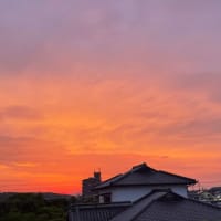 久し振りに夕空・・・