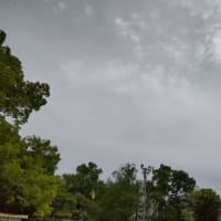 ６月９日鶴舞公園テニスコート