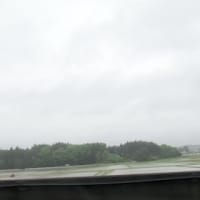 雨の1日