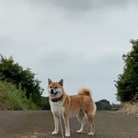空を見に須軽谷の高台に向かって