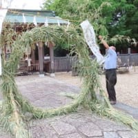 今朝の八幡宮