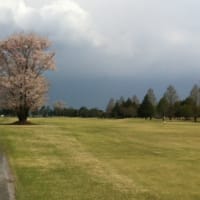 春のゴルフ。