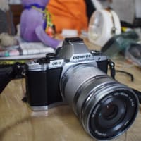 【OM-D】我慢できずに買っちゃいました＾＾♪【E-M5】