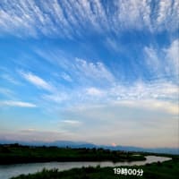 ６月26日木曜日☂️☂️