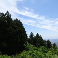 高草山からは富士山と志太平野を臨む