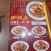 カレーハウス CoCo壱番屋 豊川御油町店　ホロ肉ドカンとガーリック＆ペッパーカレー（肉塊 LEVEL４）２辛＋ヤサイサラダ