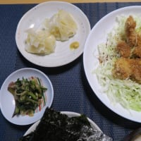 ブログupもだんだん断捨離、あと4回で晩ごはんづくり庶民の味も3500回、