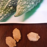 発芽に歓喜♪