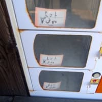 大宮藤木直売所の野菜