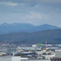 2025.4.22  サンノーの高（岐阜県）