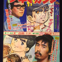 別冊スコラ 14 田中好子写真集 カボシャール - Psychedelic Diner