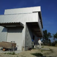 夏の自社農園
