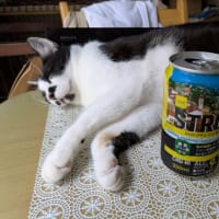 ６月が終わります。