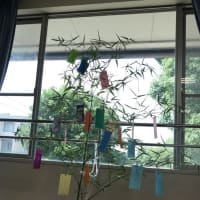 今週の予定　2025年7月13日（日）～2025年7月19日（土）