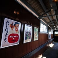 SL大樹と下今市駅（栃木県日光市 2025.5.4 撮影）
