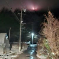 サイレン🚨サイレン🚨サイレン🚨
