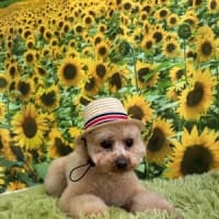 もう明けた？