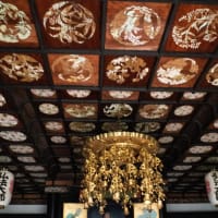 和歌山県 根来寺へ行ってきました。2024-04-03