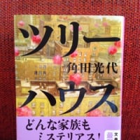 ツリーハウス