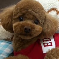 今日もスクールとサークル！