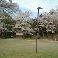 「広島県三次市 尾関山公園」