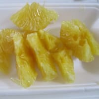 質素に少量-今日も元気----韓国チヂミ、甘夏みかん、すき焼き、シシャモの味醂干し、イチゴ、カップアイス、ミルクバー