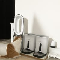 本日の猫たち#236